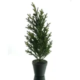 Gasper Weihnachtsbaum Konifere Grün im Topf 49 cm - Kunststoff