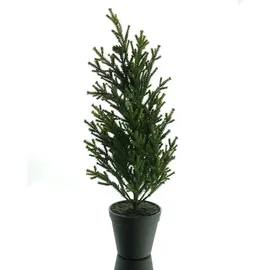 Gasper Weihnachtsbaum Konifere Grün im Topf 49 cm - Kunststoff