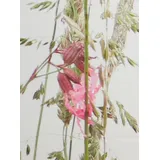 Heine Dekoschal in weiß-bedruckt | Gr.: 145-x-135-cm