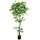 Decovego Künstlicher Ficus Benjamin, Kunstpflanze 160 cm