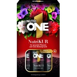 Nutri ONE NutriONE NutriKUR Vorteilspack Dünger und Vitalkur für alle Zimmer- und Balkonpflanzen mit 4 Wochen Langzeitwirkung, 6x32 ml