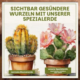 GREEN HOME LOVE NATURE Kakteenerde 72 l