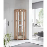 fif Möbel Vitrine »TRIO Höhe ca. 172 cm«, Eckvitrine/Glasvitrine 1x Glastür, perfekt für Sammler, Sammlervitrine, braun