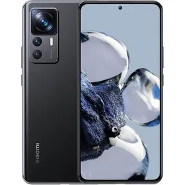 Xiaomi 12 Pro 12 GB RAM 256 GB Gray