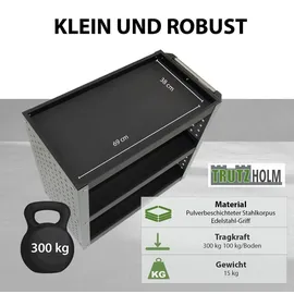 Trutzholm Werkstattwagen 3 Etagen Stahl grau Werkzeugwagen 70x39x79 cm auf Rollen bis 300 kg Tragkraft