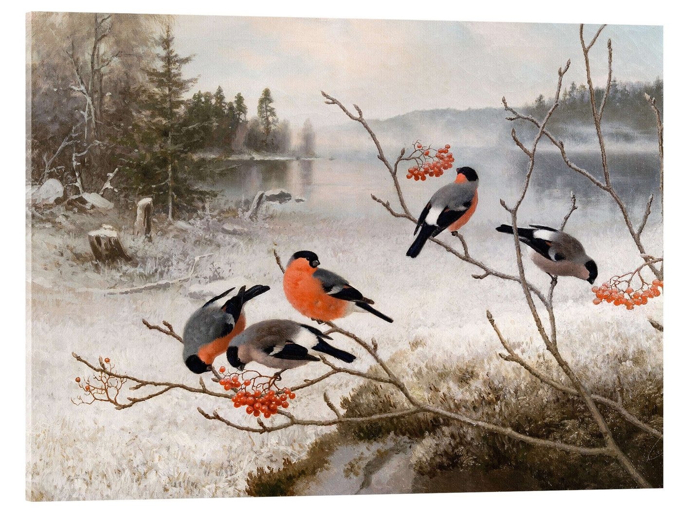 Posterlounge Acrylglasbild Ferdinand von Wright, Dompfaffen und eine Winterlandschaft, Malerei 40 cm x 30 cm