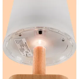 esotec Solarleuchte Kunststoff H=21 cm 3000K warmweiß IP44 102912 braun