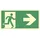 moedel - warnen-sichern-kennzeichnen Hinweisschild Notausgang rechts Pfeil rechts 29,7 x 14,8 cm Grün