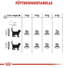 Royal Canin Oral Care 8 kg