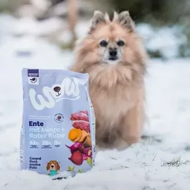 Wow Mini Senior Ente mit Minze 1 kg