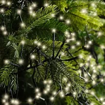 Lumineo Cluster, warmweiß, Dimmer, Timer, IP44, 19m, 2040 LEDs