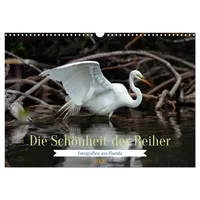 Calvendo Die Schönheit der Reiher (Wandkalender 2026 DIN A3