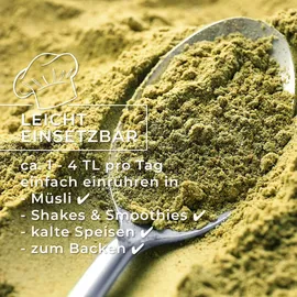 ingo steyer gmbh & co. kg Hanfprotein Pulver Vanille Müsli 400 g