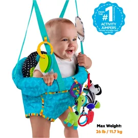 Bright Starts Jumper Bounce'n Spring Deluxe
