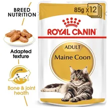 Royal Canin Adult Maine Coon 48 x 85 g