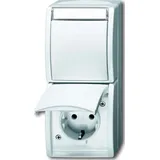 Busch-Jaeger Schuko-Steckdose 2 St. Weiß