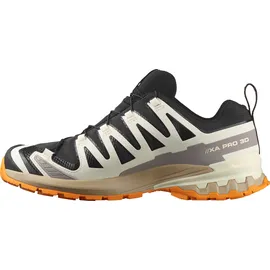 Salomon XA Pro 3D V9 GTX Herren Black/Vanilla Ice/Turmeric 44 2/3