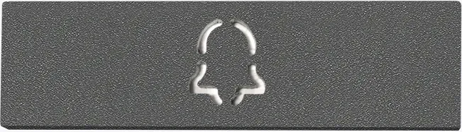 DoorBird D21x Namensschild für eine Ruftaste, Glockensymbol DB 703, Edelstahl, pulverbeschichtet, seidenmatt