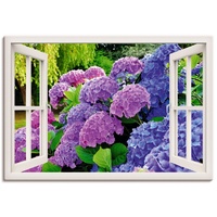 Artland Wandbild »Fensterblick Hortensien im Garten«, Blumen (1 St.), als Leinwandbild, Poster in verschied. Größen, lila