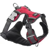 Red Dingo Hundegeschirr gepolstert, M Rot