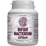 sinoplasan gmbh Bifidobacterium bifidum Kapseln 90 St.