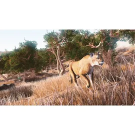 Hunting Simulator (PEGI) (PS4)