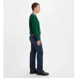 Levi's 505 Regular Fit StraightJeans , Sunset Down, 29W / 32L