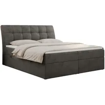 MKS Boxbett, DIEGOS 160/200 Dunkelgrau Velvet - H3