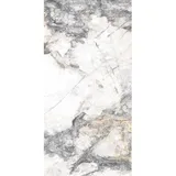 Euro Stone Bodenfliese Feinsteinzeug Caldera 60 x 120 cm silver