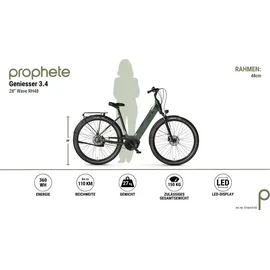 Prophete E-Bike Geniesser 3.4 3 Gang, Shimano, Mittelmotor City 28", Zoll Wave RH48 grün