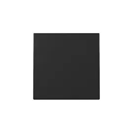 Gira 3296005 Wippe Schwarz matt