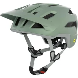 Alpina Taunus Mips 52-56 cm willow-green matt