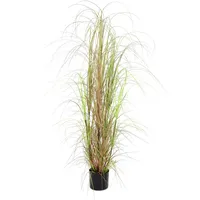 Europalms Grasbusch, 150cm