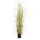 Europalms Grasbusch, 150cm