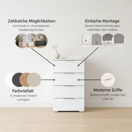 OTTO home Highboard 40 x 81 cm Beige / Eiche