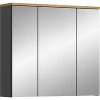 Xonox home xonox.home Spiegelschrank Canu