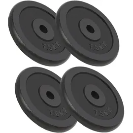 vidaXL Hantelscheiben Hantel-Set 4 Stk. 4x7,5 kg Gusseisen schwarz