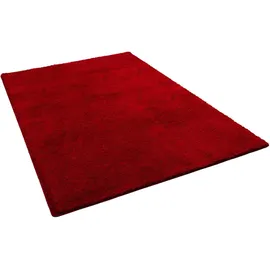 Snapstyle Hochflor Shaggy Teppich Palace Weinrot 200x300cm