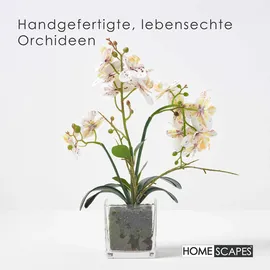 Homescapes Kunstblume, Orchidee weiß-pink im Glas-Topf, 42 cm