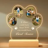 NIBESSER Personalisiert Gedenktafel für Haustiere Erinnerung LED Acrylglas mit Foto Hundandenken Geschenke Foto Nachtlampe Haustier Bilderrahmen für Katze und andere Haustiere Tiere