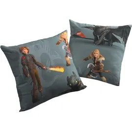 Wirth Kissenbezug Dragons 40 x 60 cm Grau
