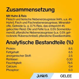 PEDIGREE Junior mit Huhn und Reis in Gelee 24 x 100 g
