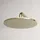 rivea Kopfbrause Ø 300 mm Gold gebürstet (BR2063BG)