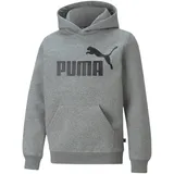 Puma Essentials Big Logo Fleece-Hoodie Jungen medium gray heather 152