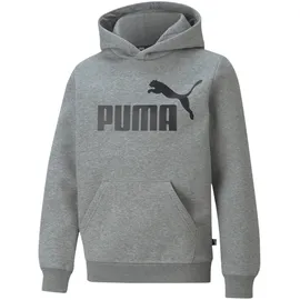 Puma Essentials Big Logo Fleece-Hoodie Jungen medium gray heather 152