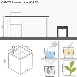 LECHUZA Canto Premium 40 low LED 40 x 40 x 40 cm anthrazit metallic