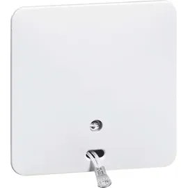 PEHA by Honeywell Wechselschalter H 80,1616 N W