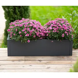 Tchibo Talus Pflanzkasten 100 x 25 x 27 cm Anthrazit