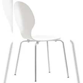 CLP Diego 8 St. weiß