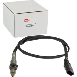 NTY ESL-VW-003